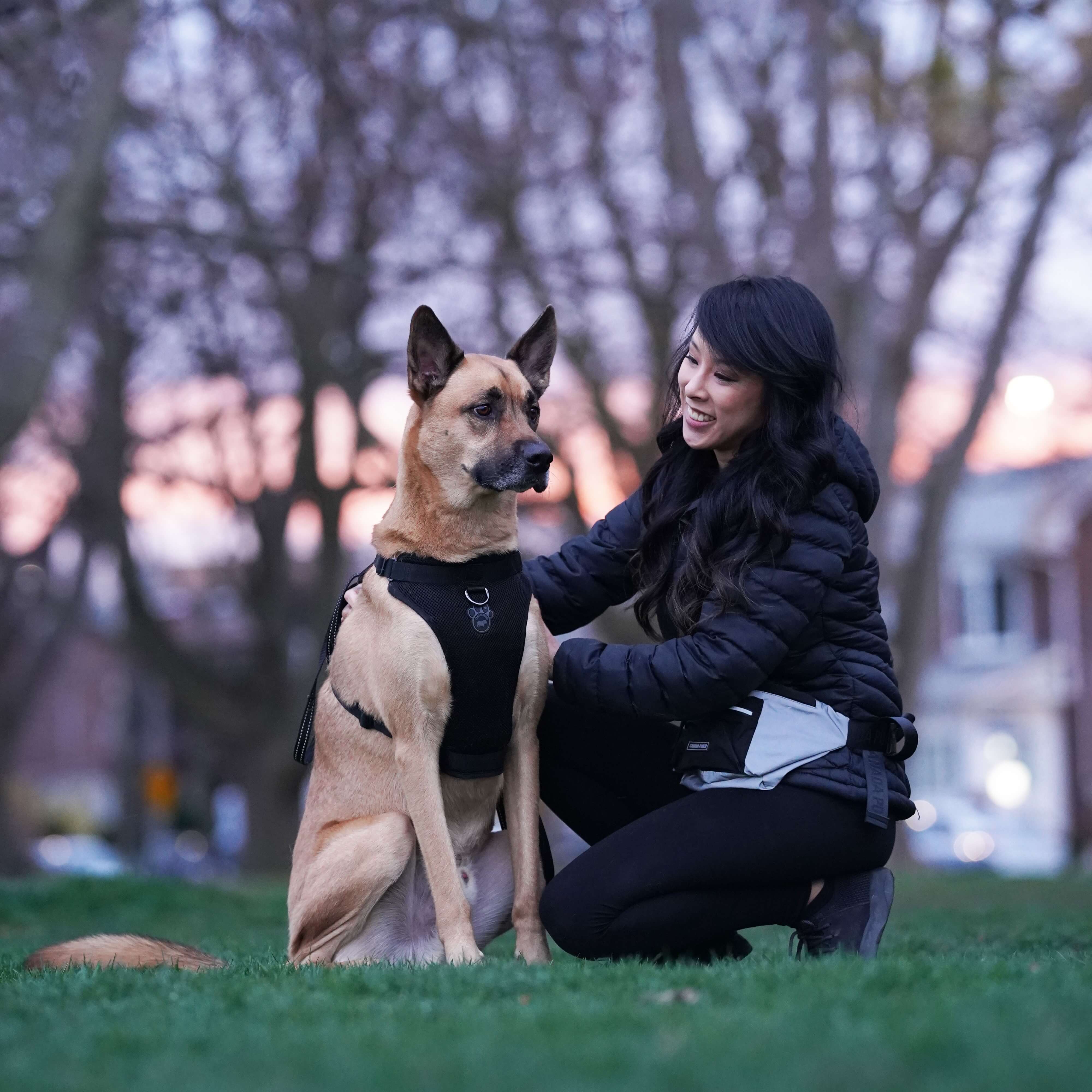 The Everything Harness Mesh Series - Image 9