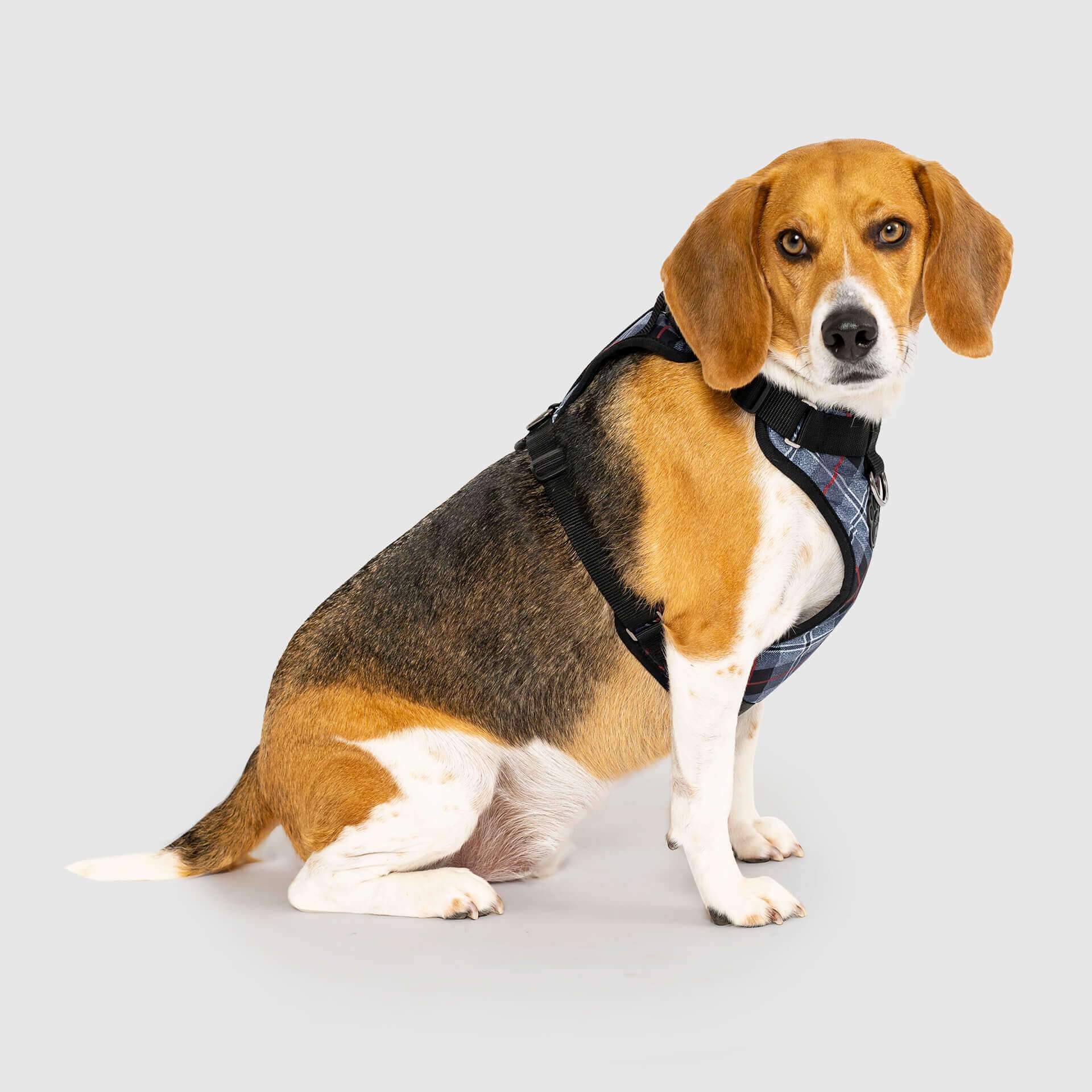 The Everything Harness Water-Resistant Series - Image 12