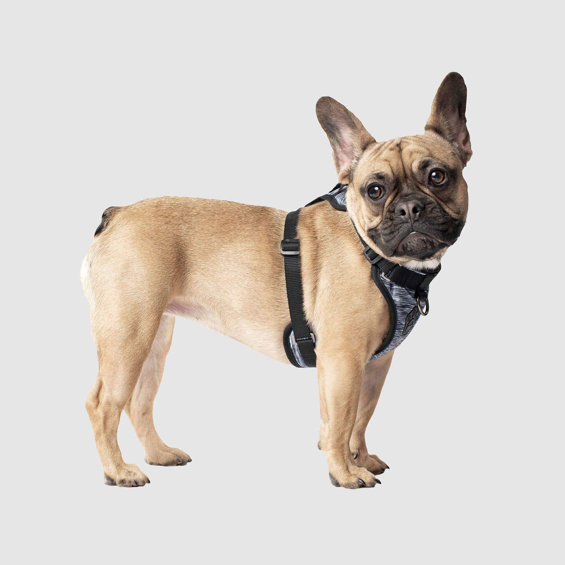 The Everything Harness Water-Resistant Series - Image 21