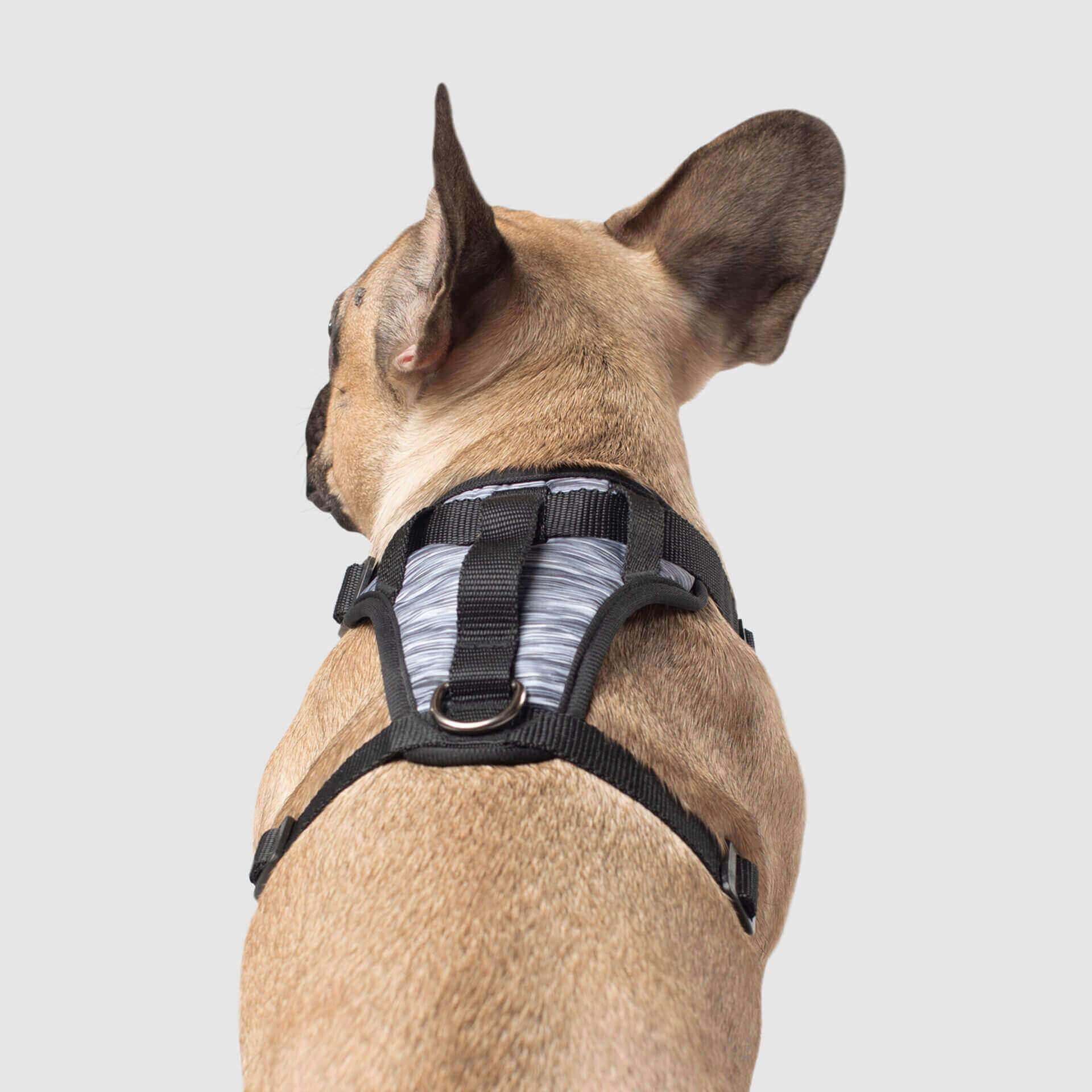 The Everything Harness Water-Resistant Series - Image 22