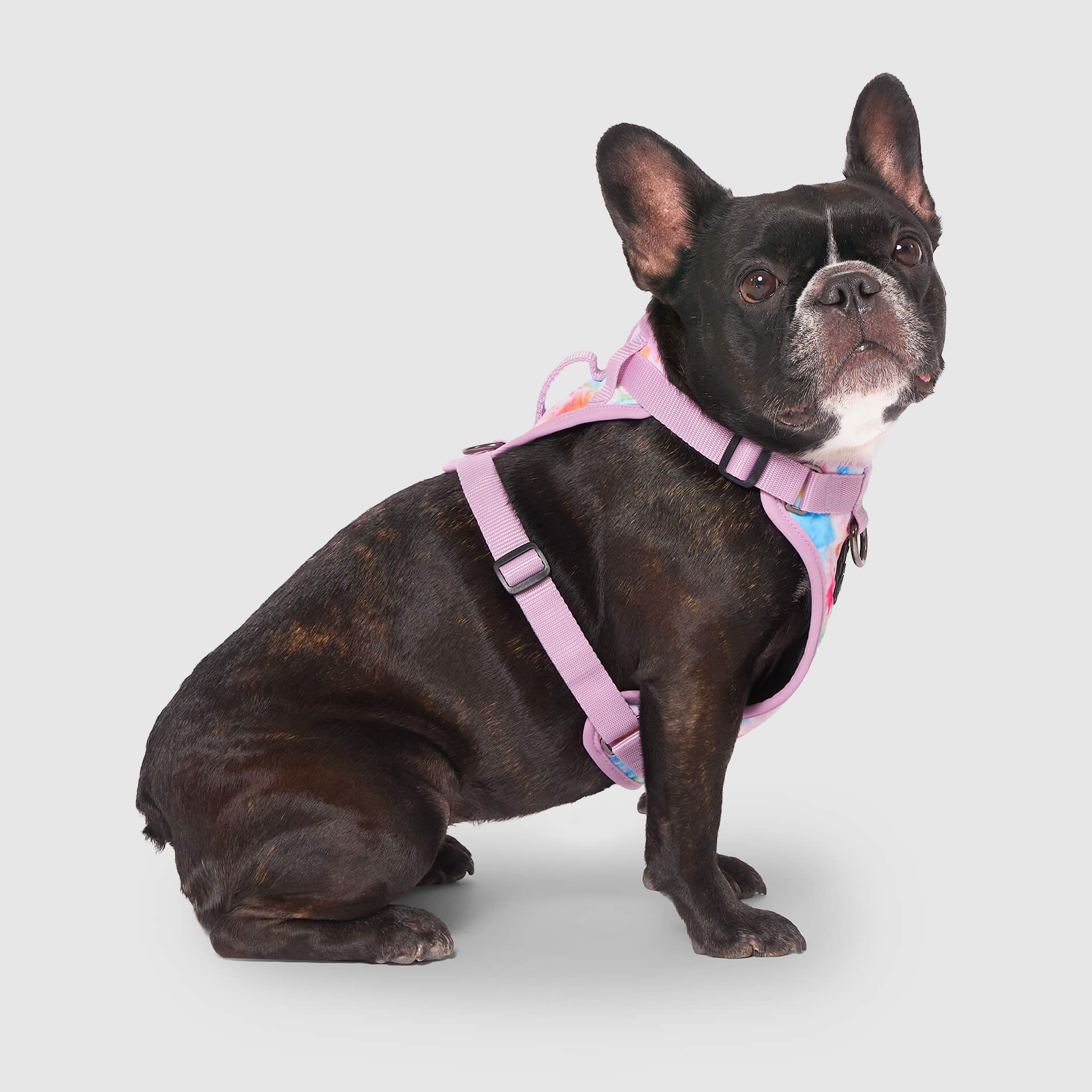 The Everything Harness Water-Resistant Series - Image 25