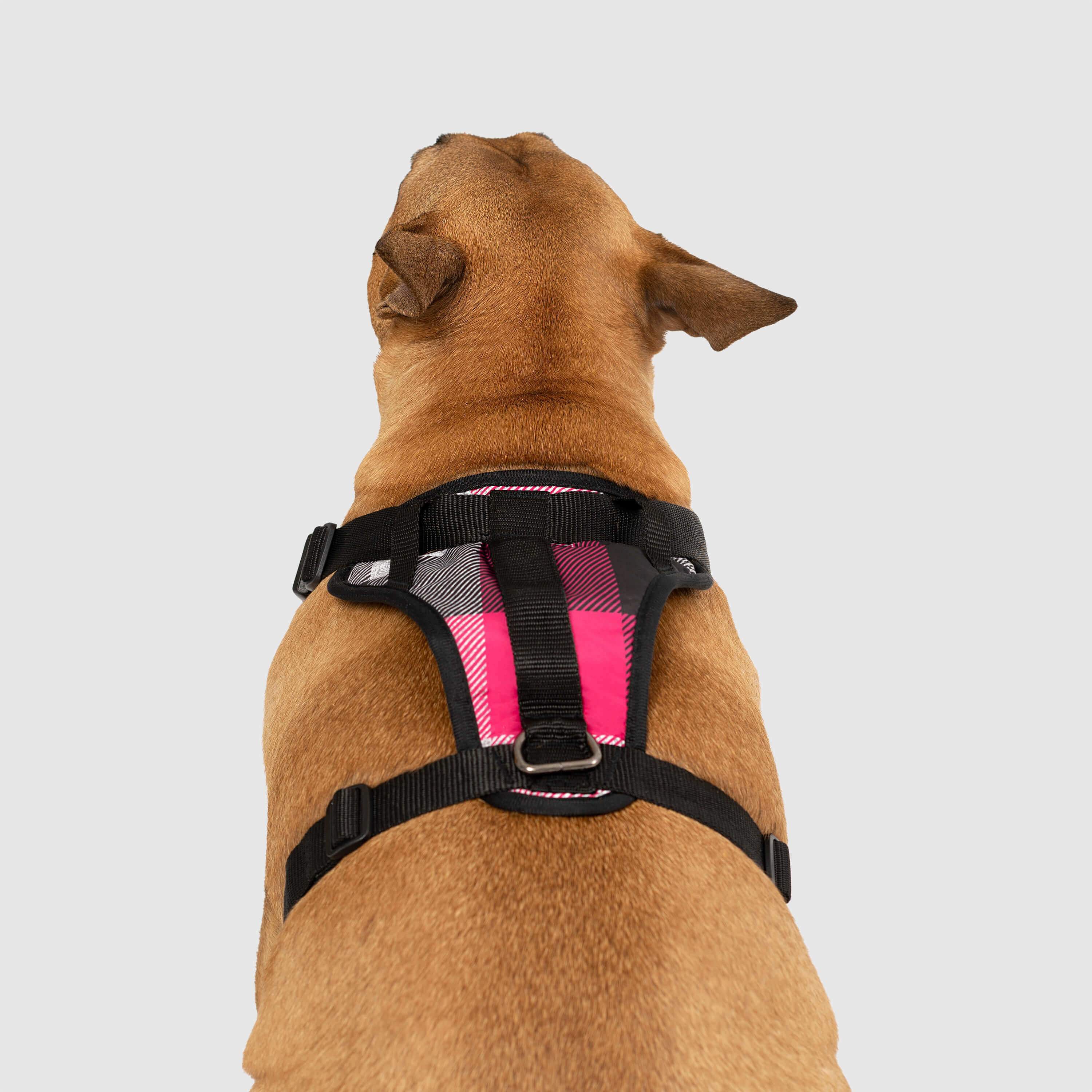 The Everything Harness Water-Resistant Series - Image 8
