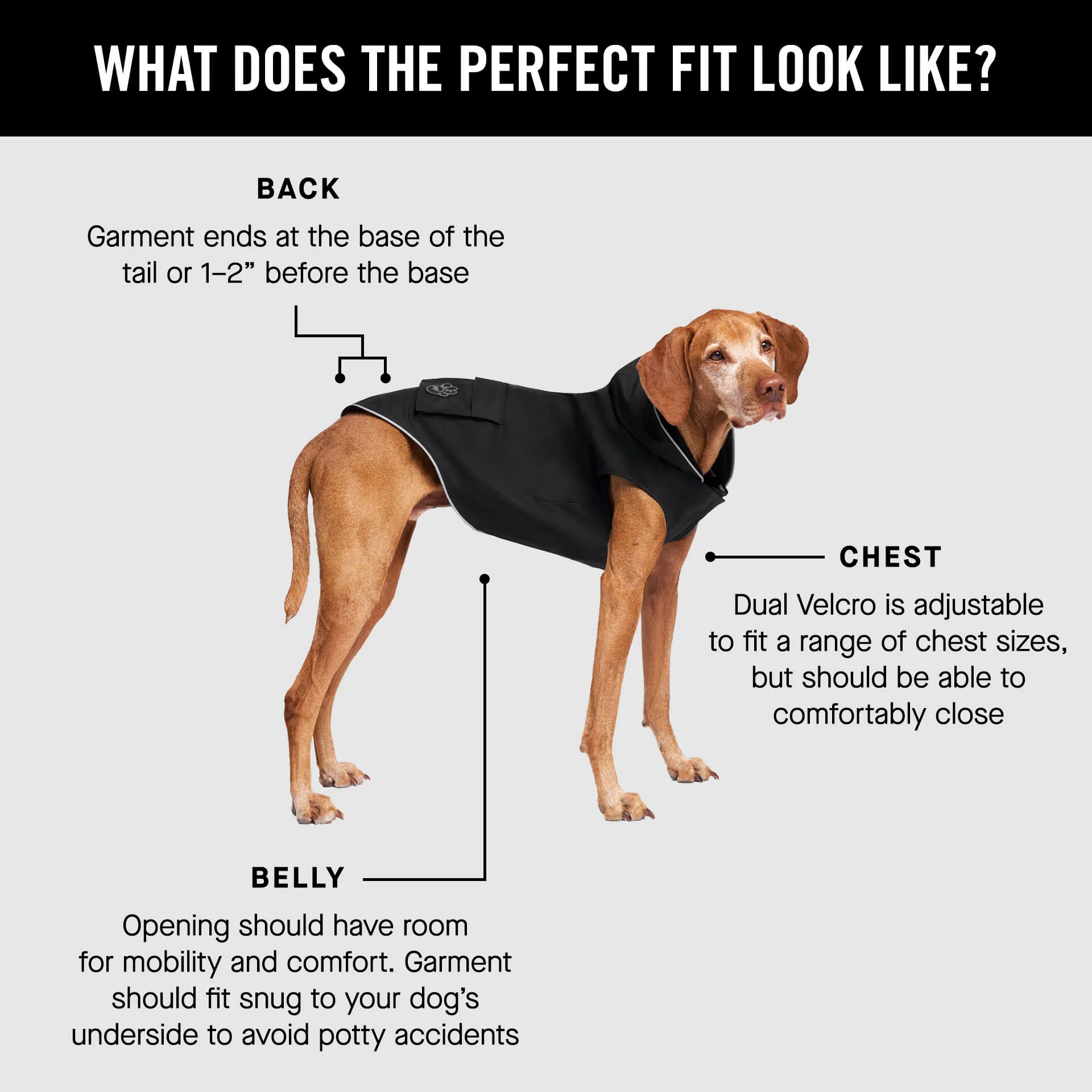 Torrential Tracker - Image 18