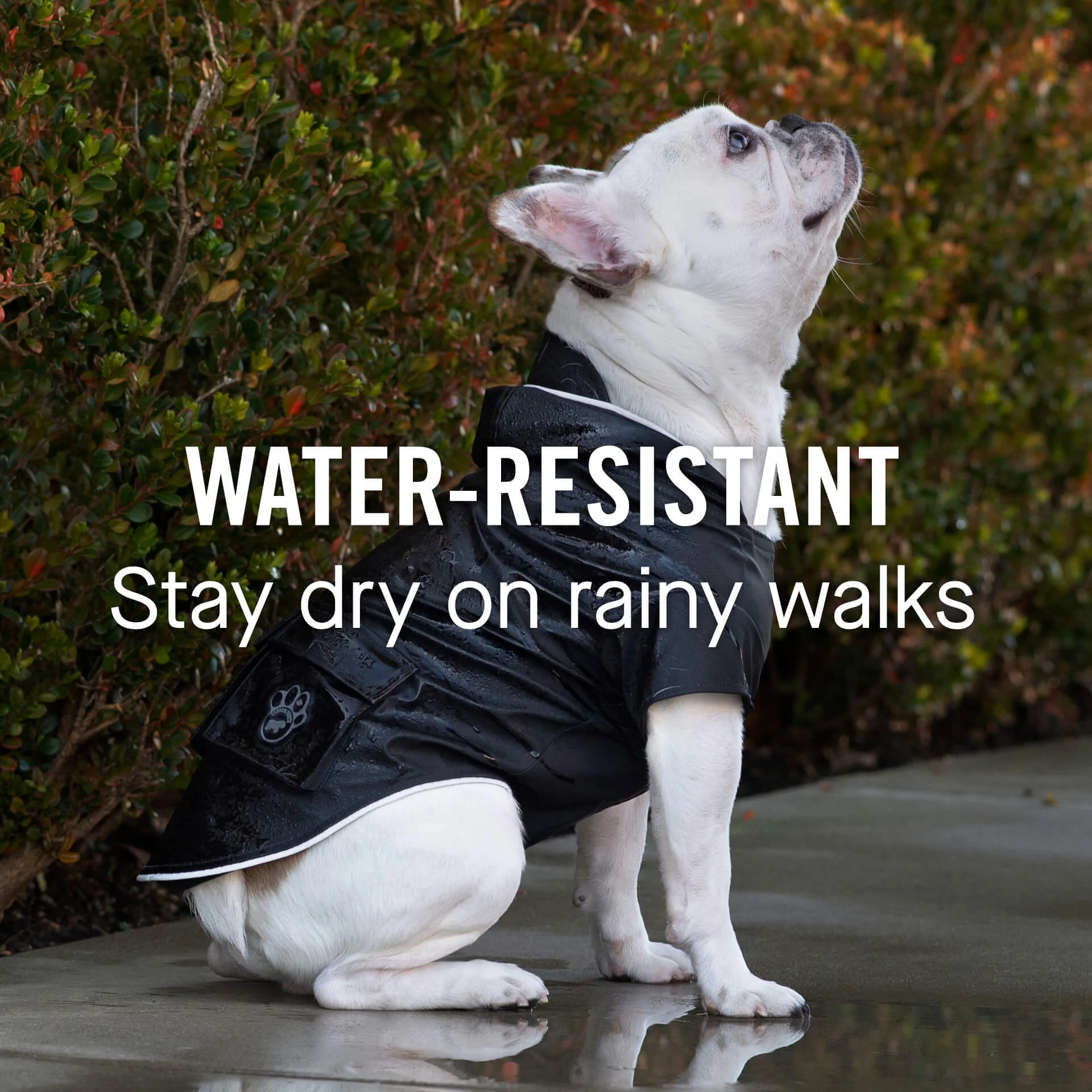 Torrential Tracker - Image 23