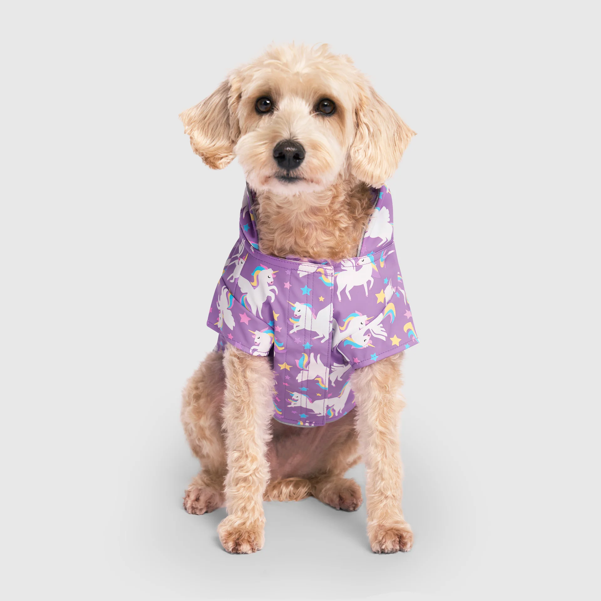 Wet Reveal Torrential Tracker - Image 7