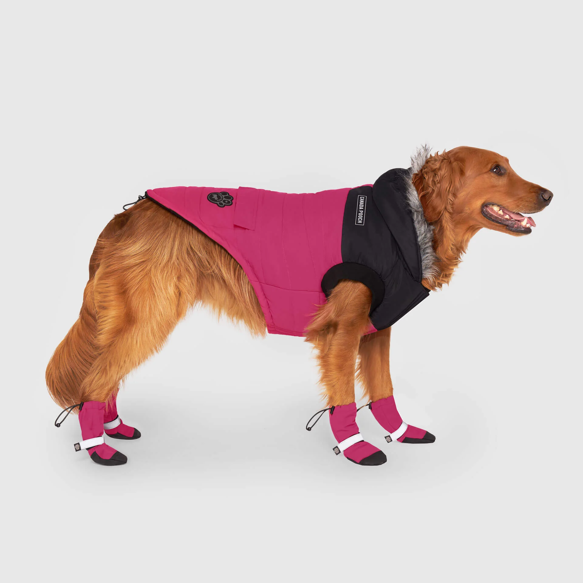 True North Parka - Image 16