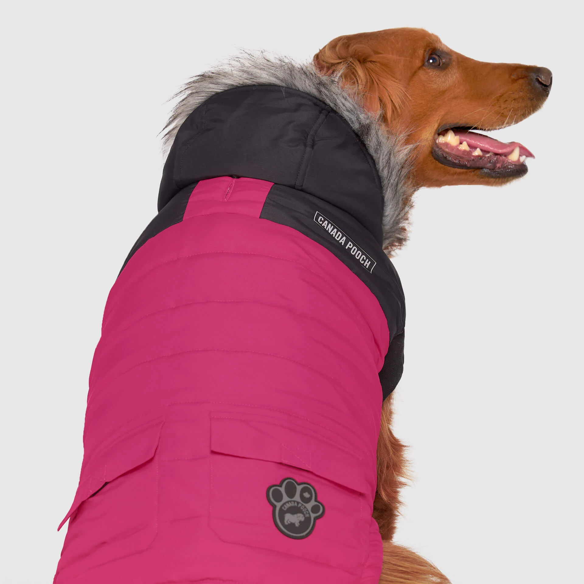 True North Parka - Image 18