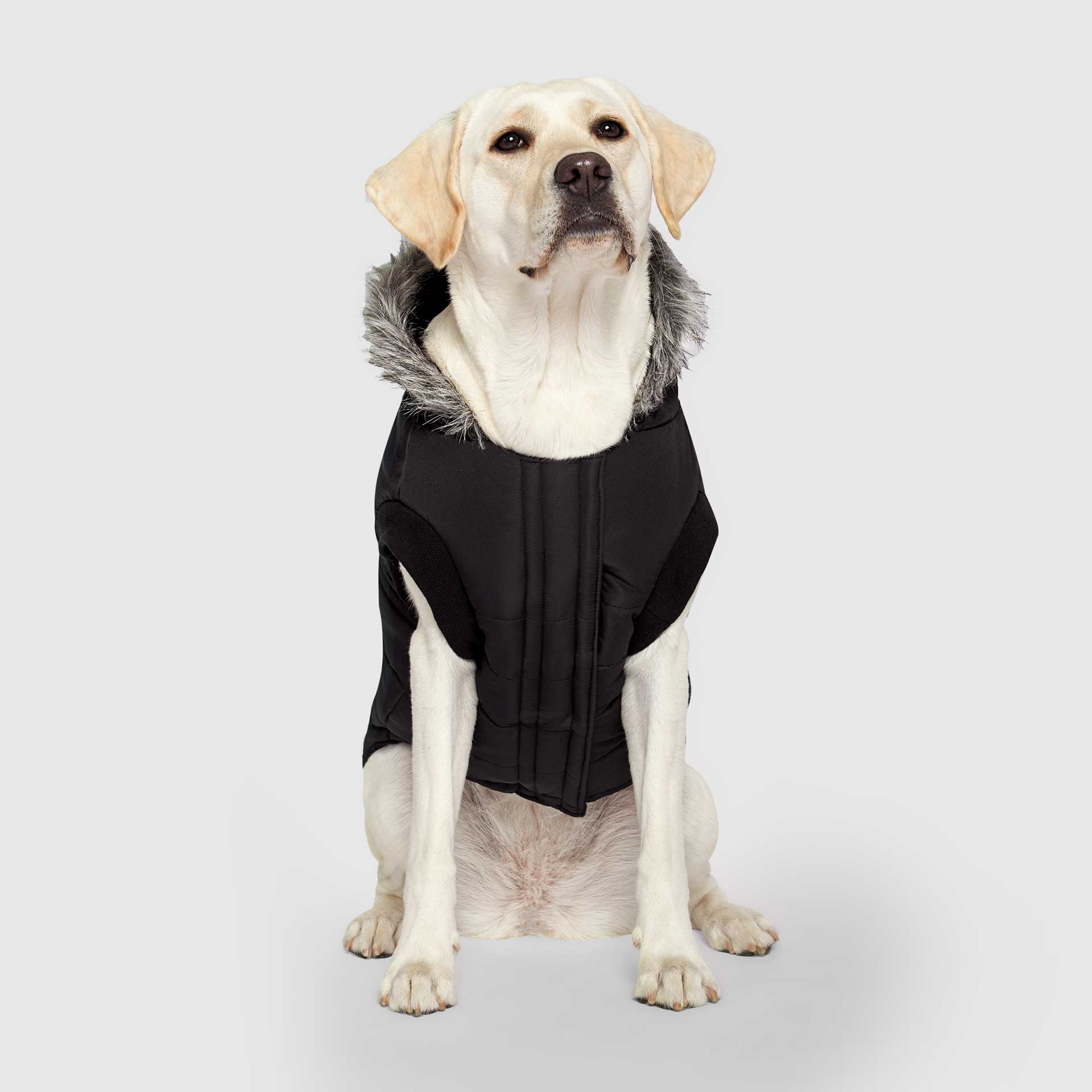 True North Parka - Image 21