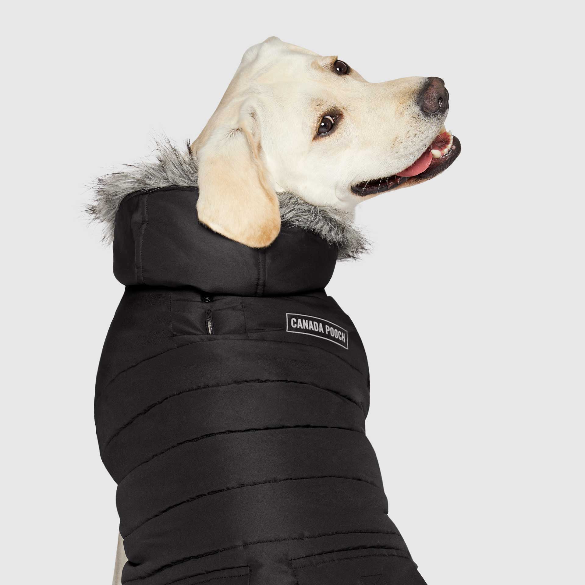 True North Parka - Image 22