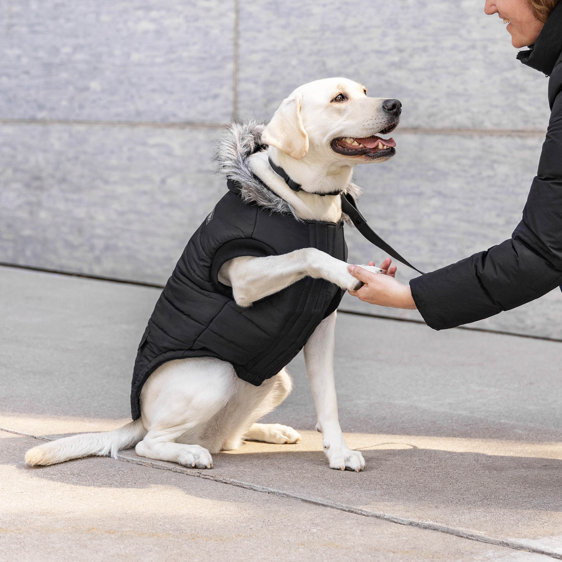 True North Parka - Image 24