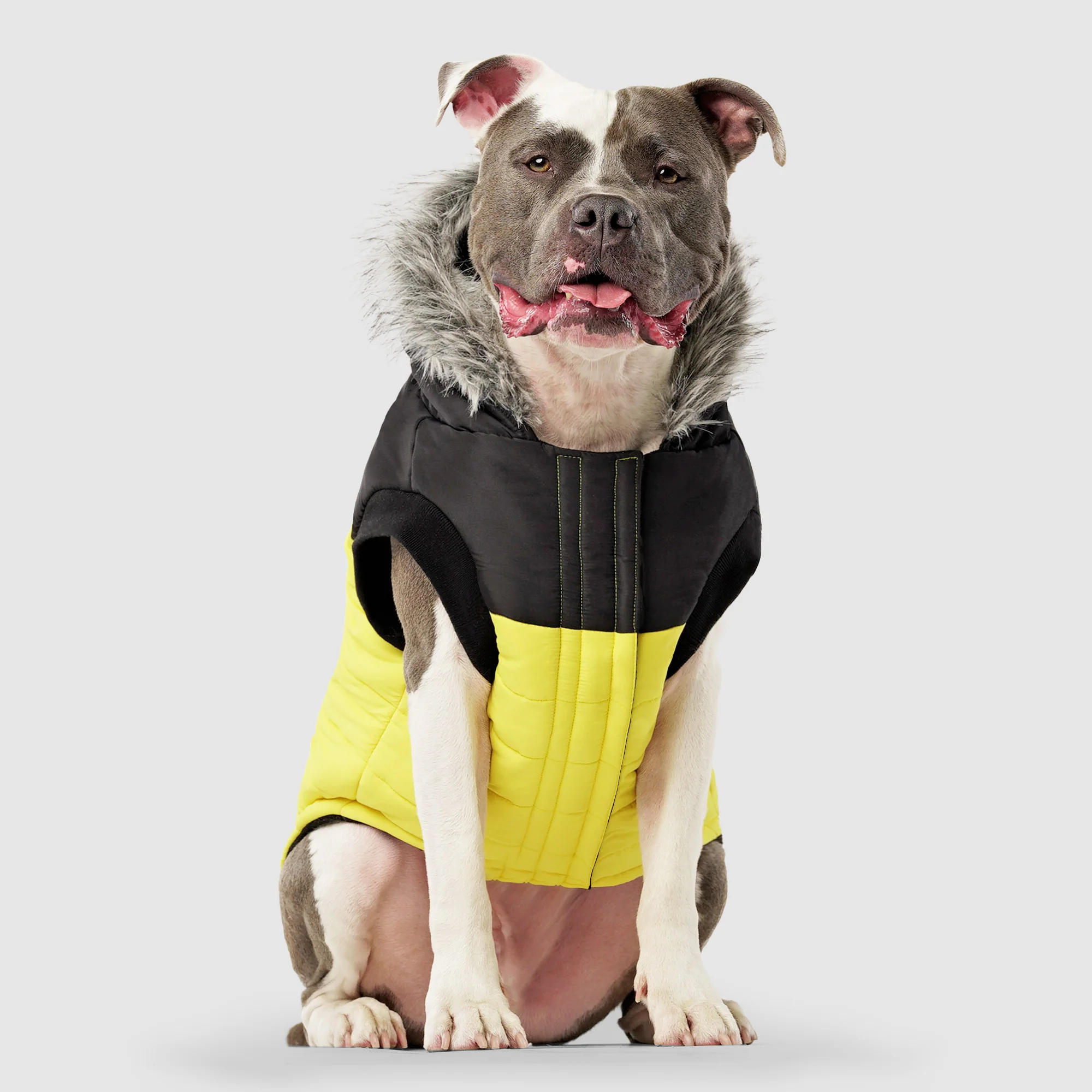 True North Parka - Image 8