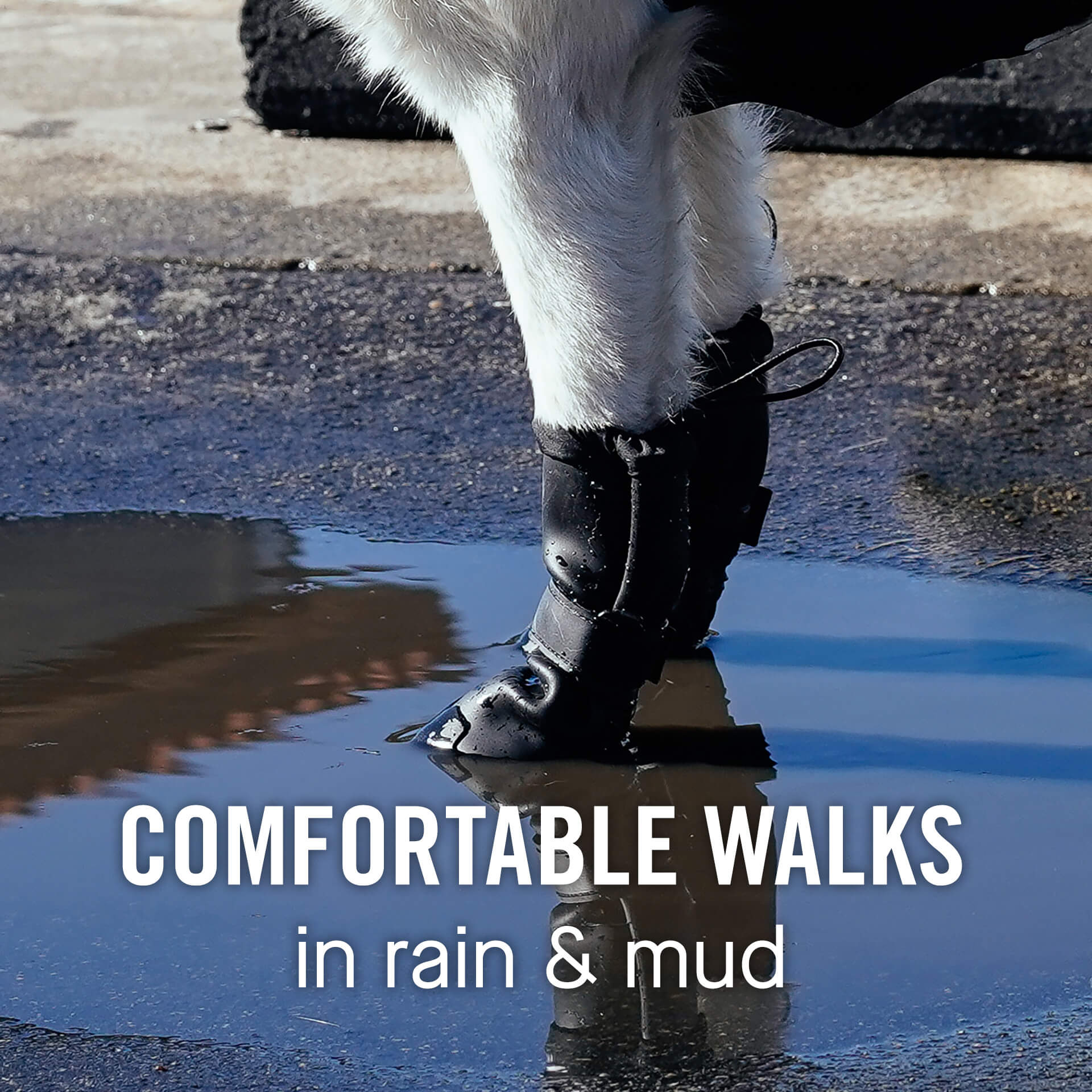 Waterproof Rain Boots - Image 17