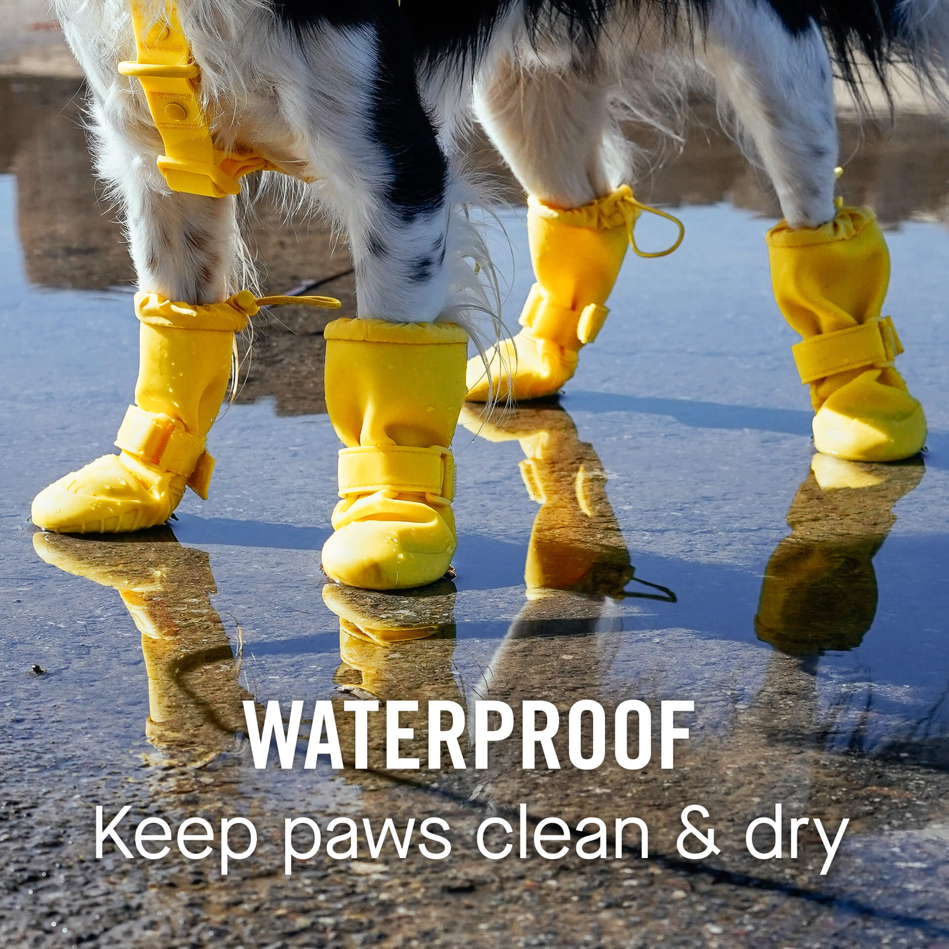 Waterproof Rain Boots - Image 8