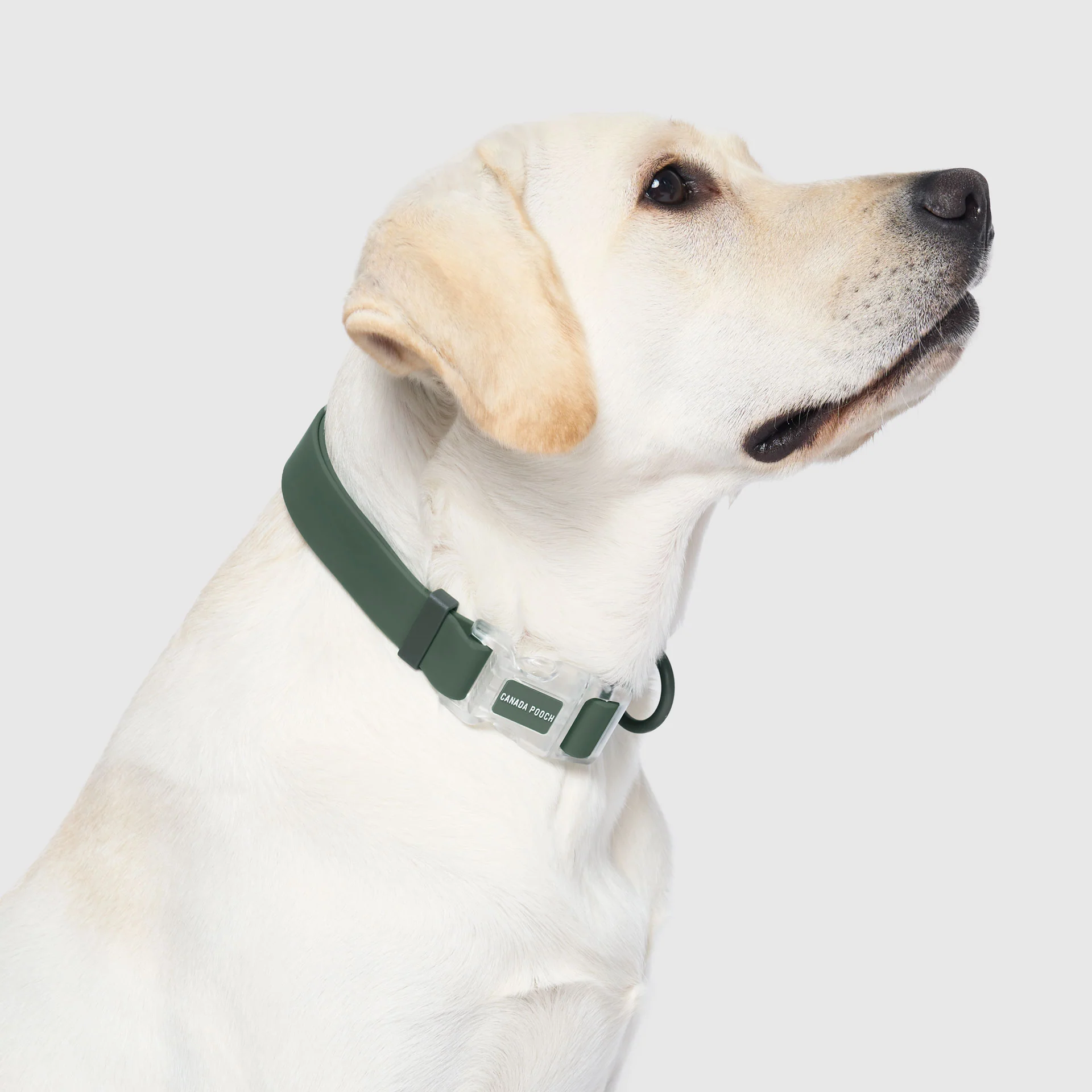 Waterproof Collar - Image 20