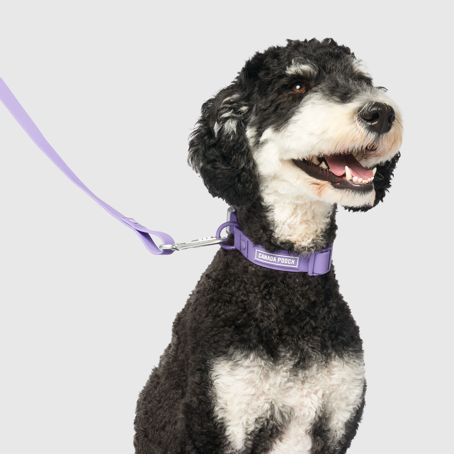 Waterproof Collar - Image 23