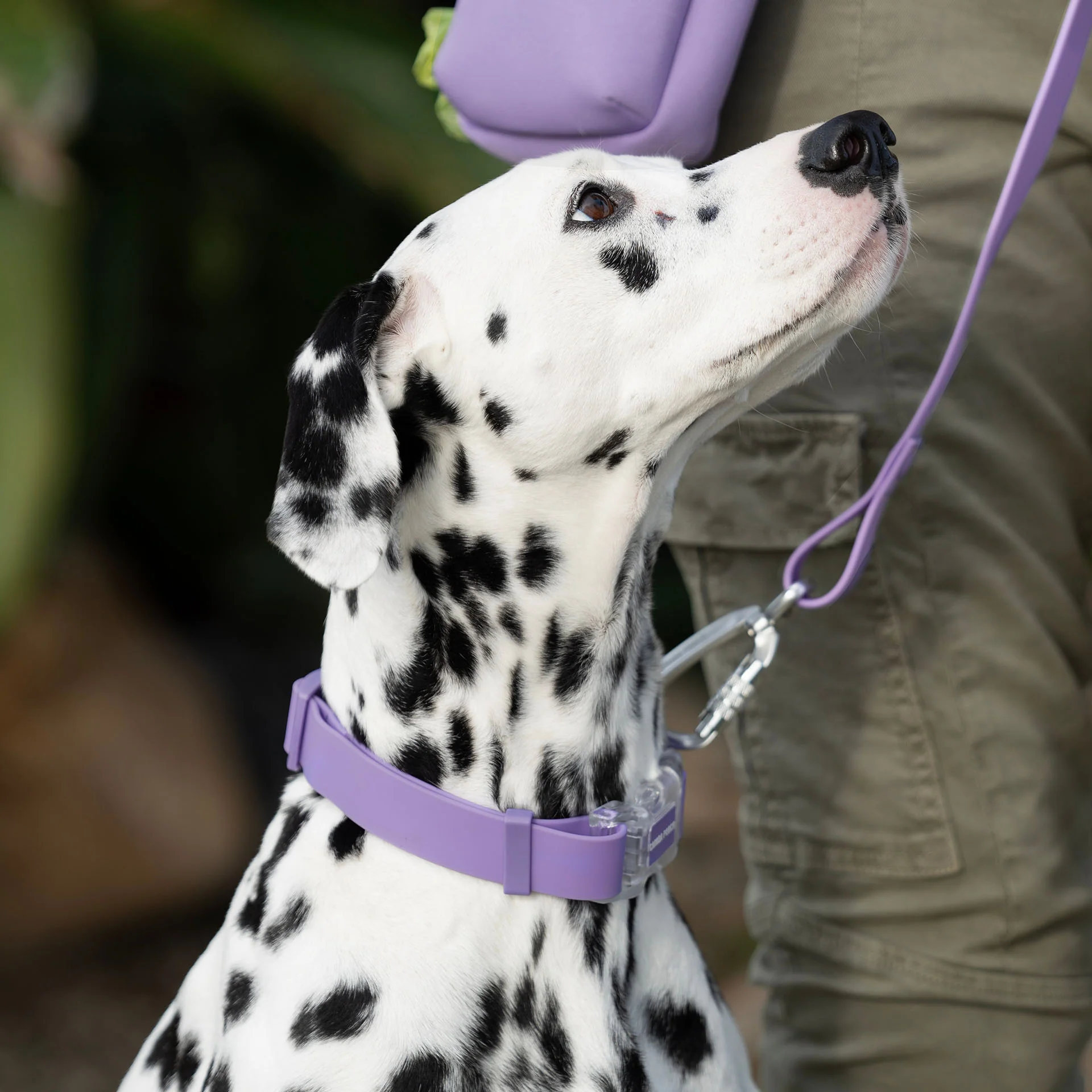 Waterproof Collar - Image 27