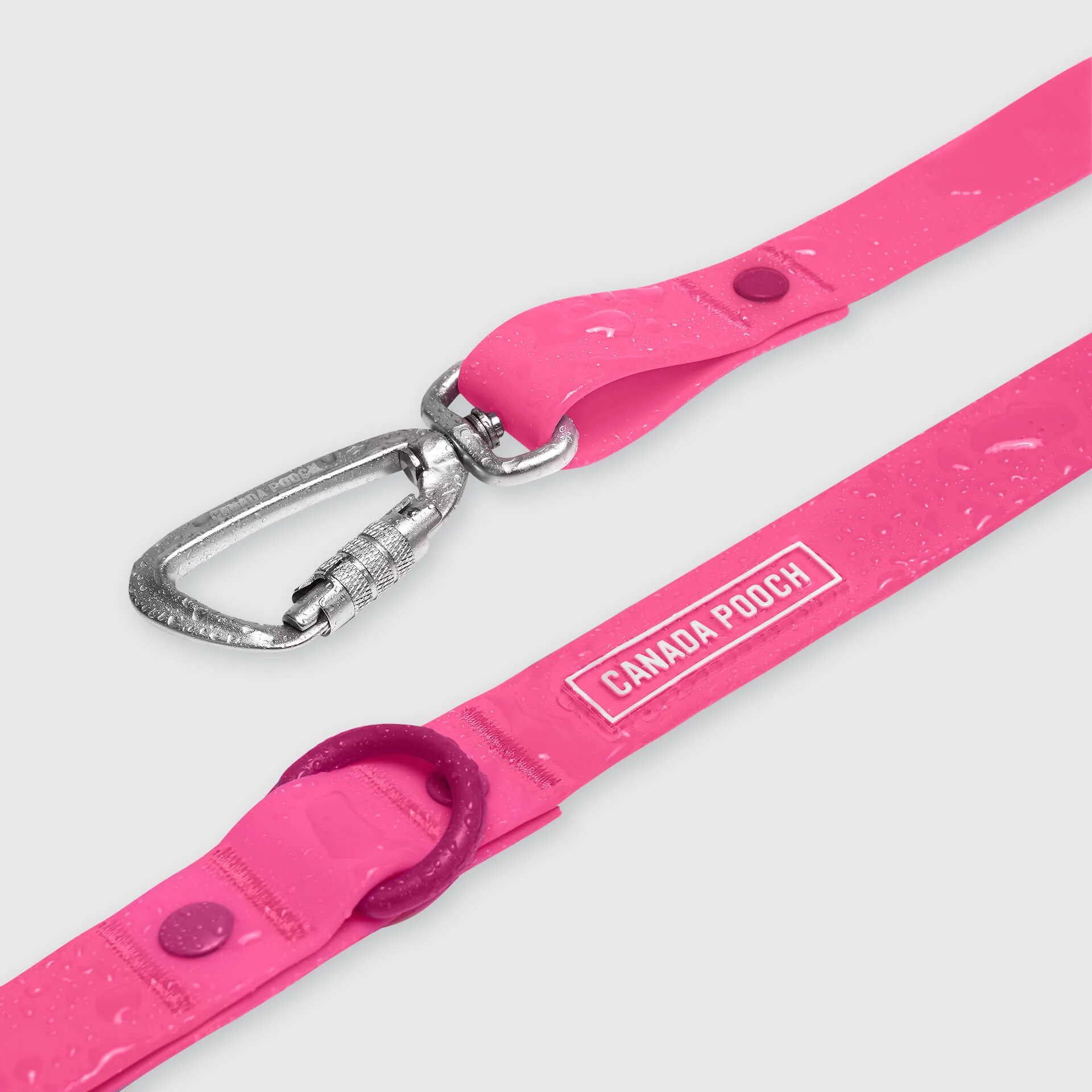 Waterproof Leash - Image 13