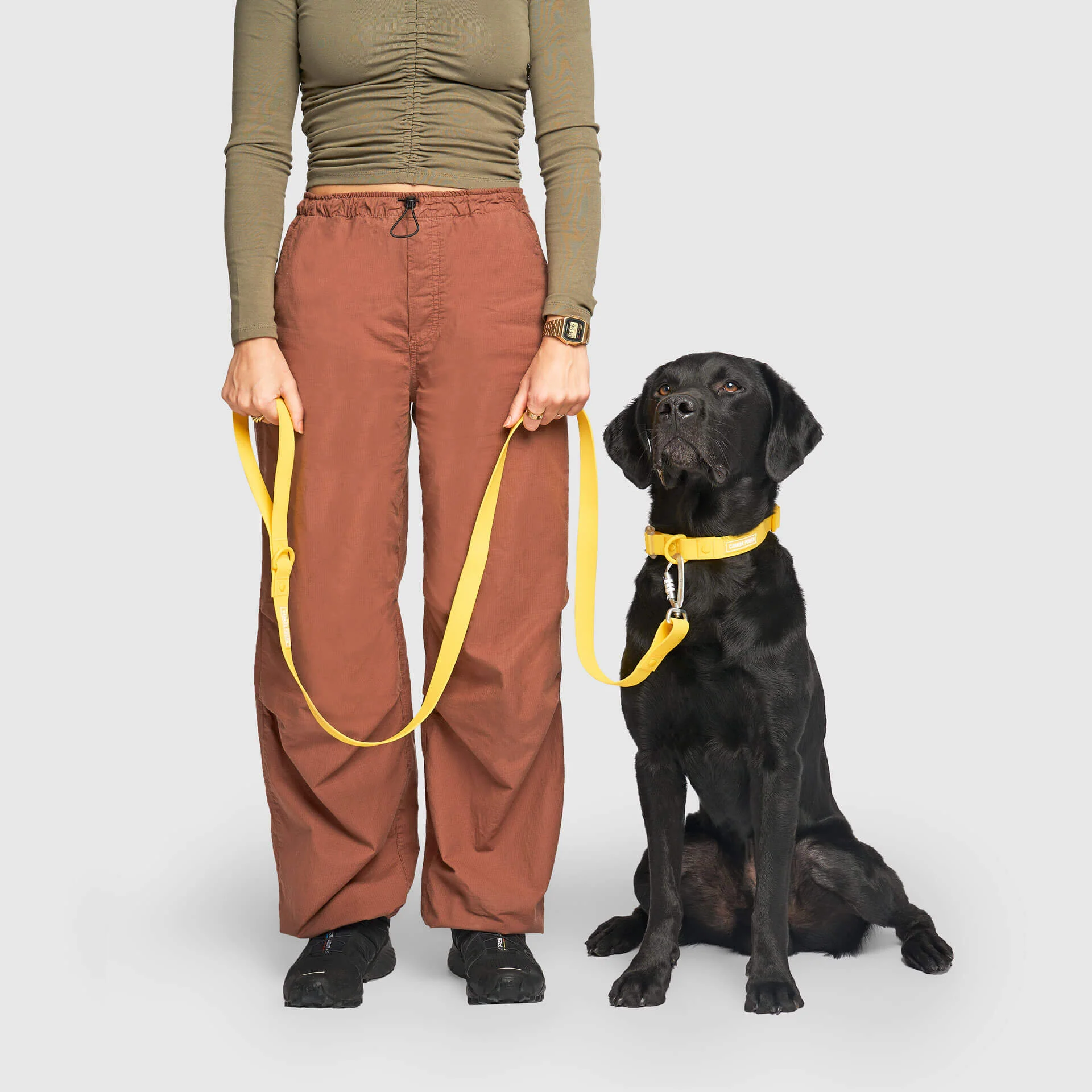 Waterproof Leash - Image 17
