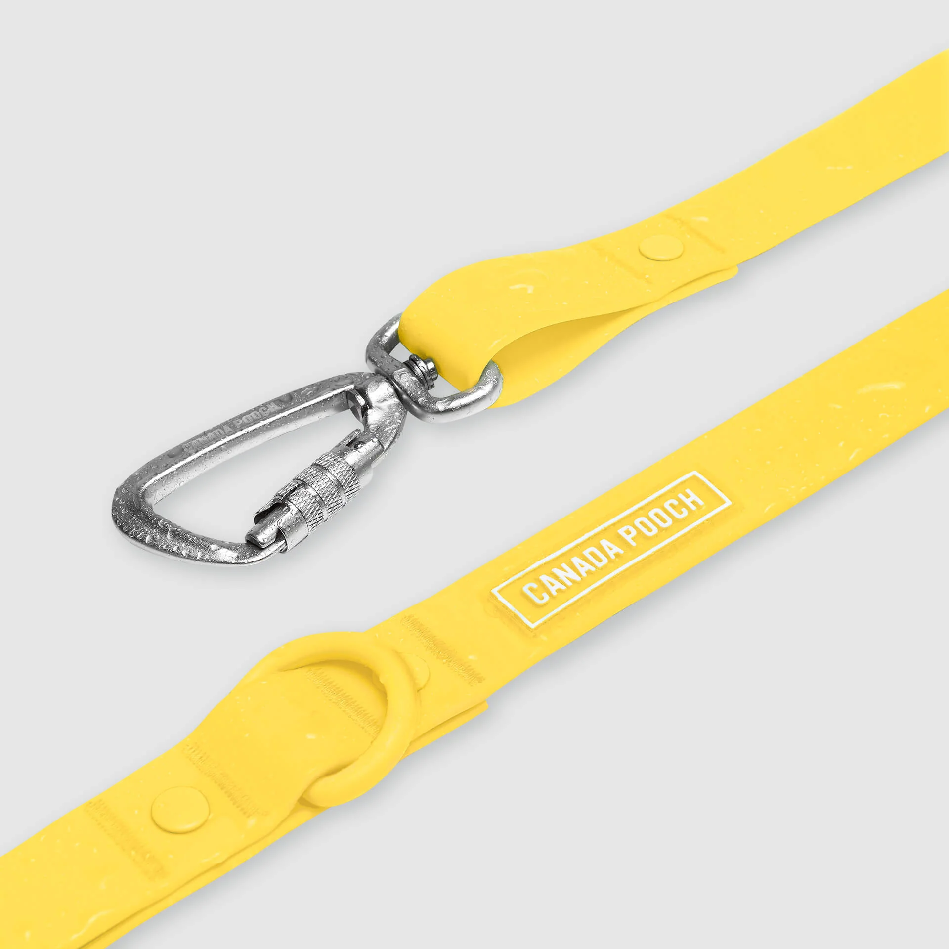 Waterproof Leash - Image 18
