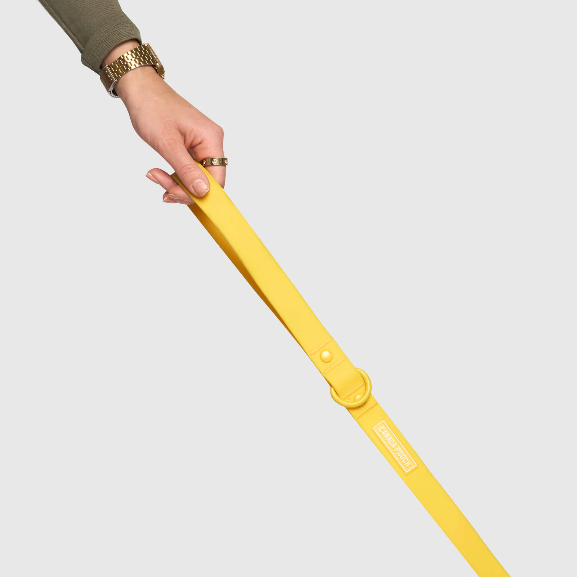 Waterproof Leash - Image 19