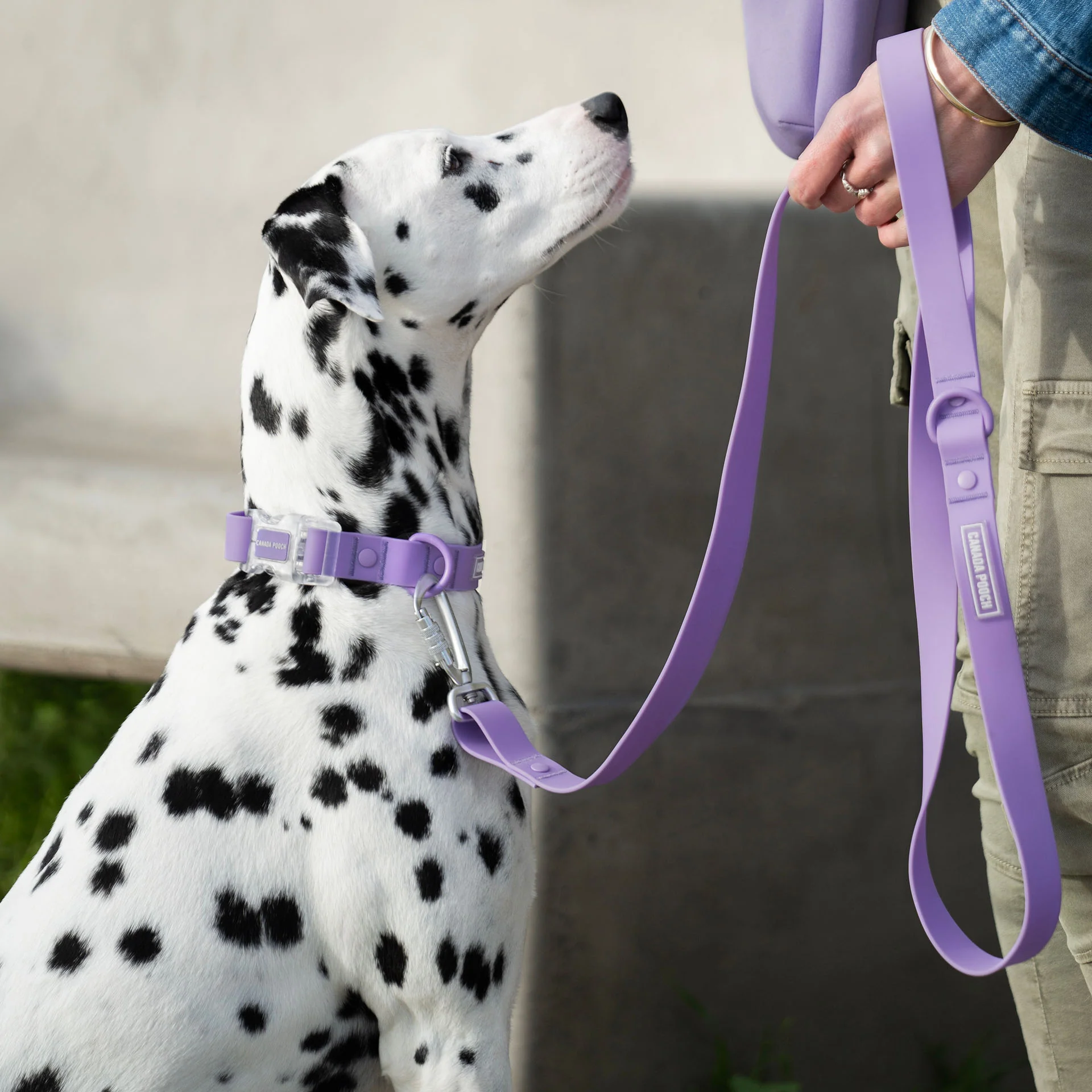 Waterproof Leash - Image 30