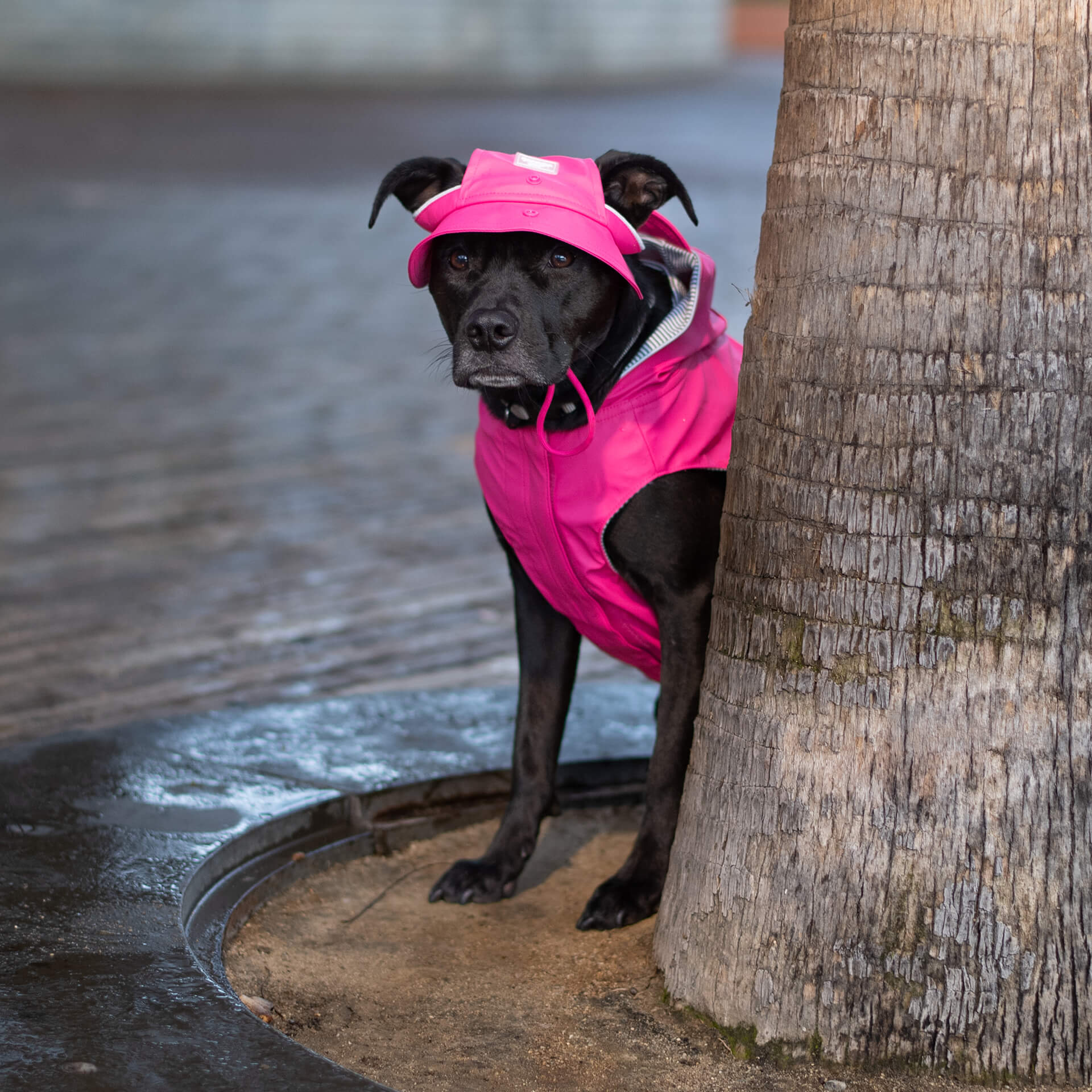 Torrential Tracker Rain Hat - Image 5