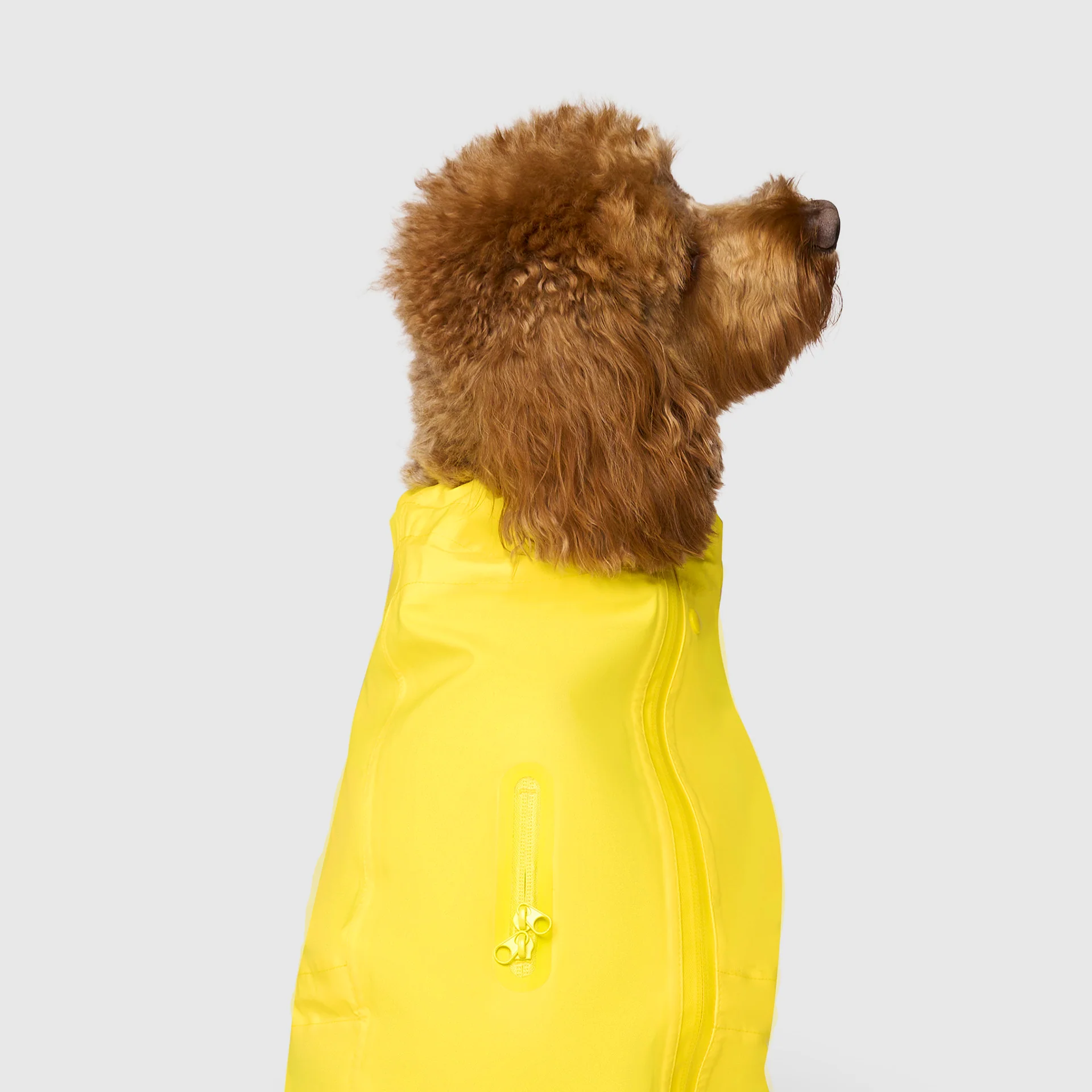 Waterproof Raincoat - Image 4