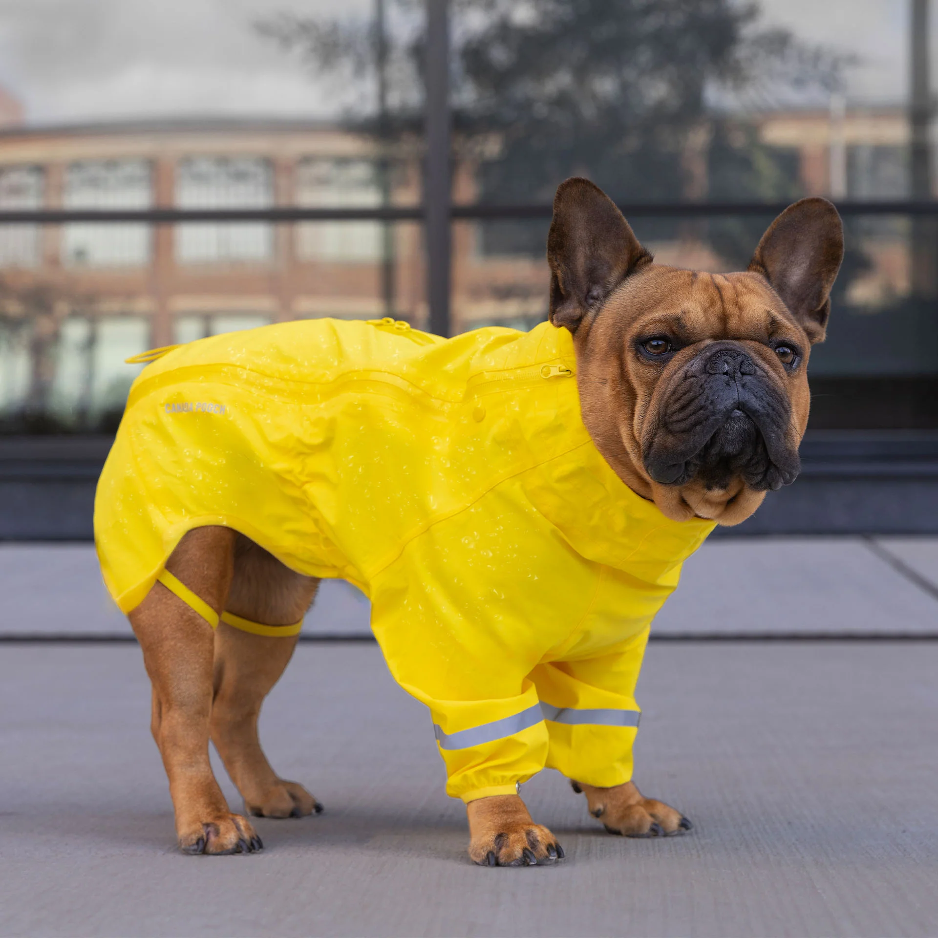 Waterproof Raincoat - Image 6