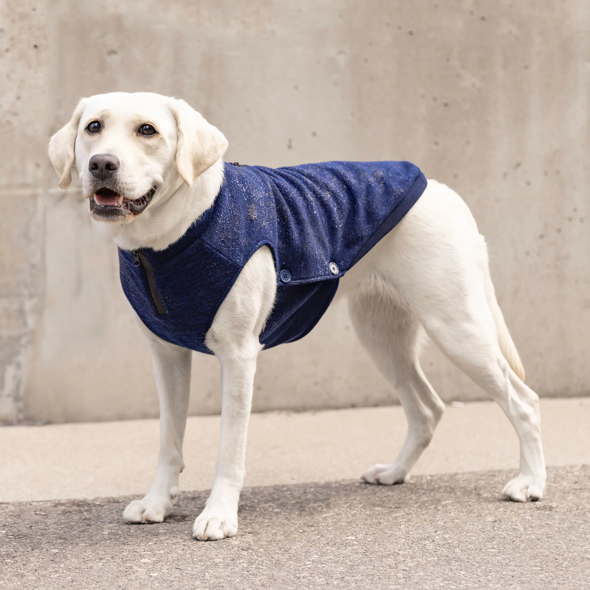 Waterproof Sweater - Image 12