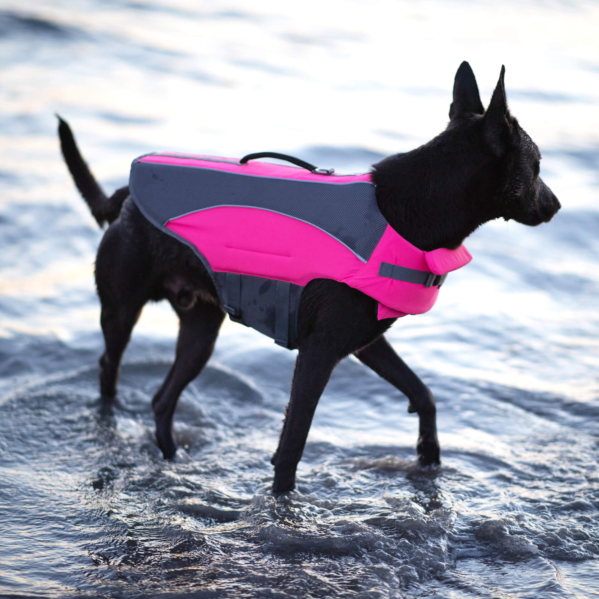 Wave Rider Life Jacket - Image 11