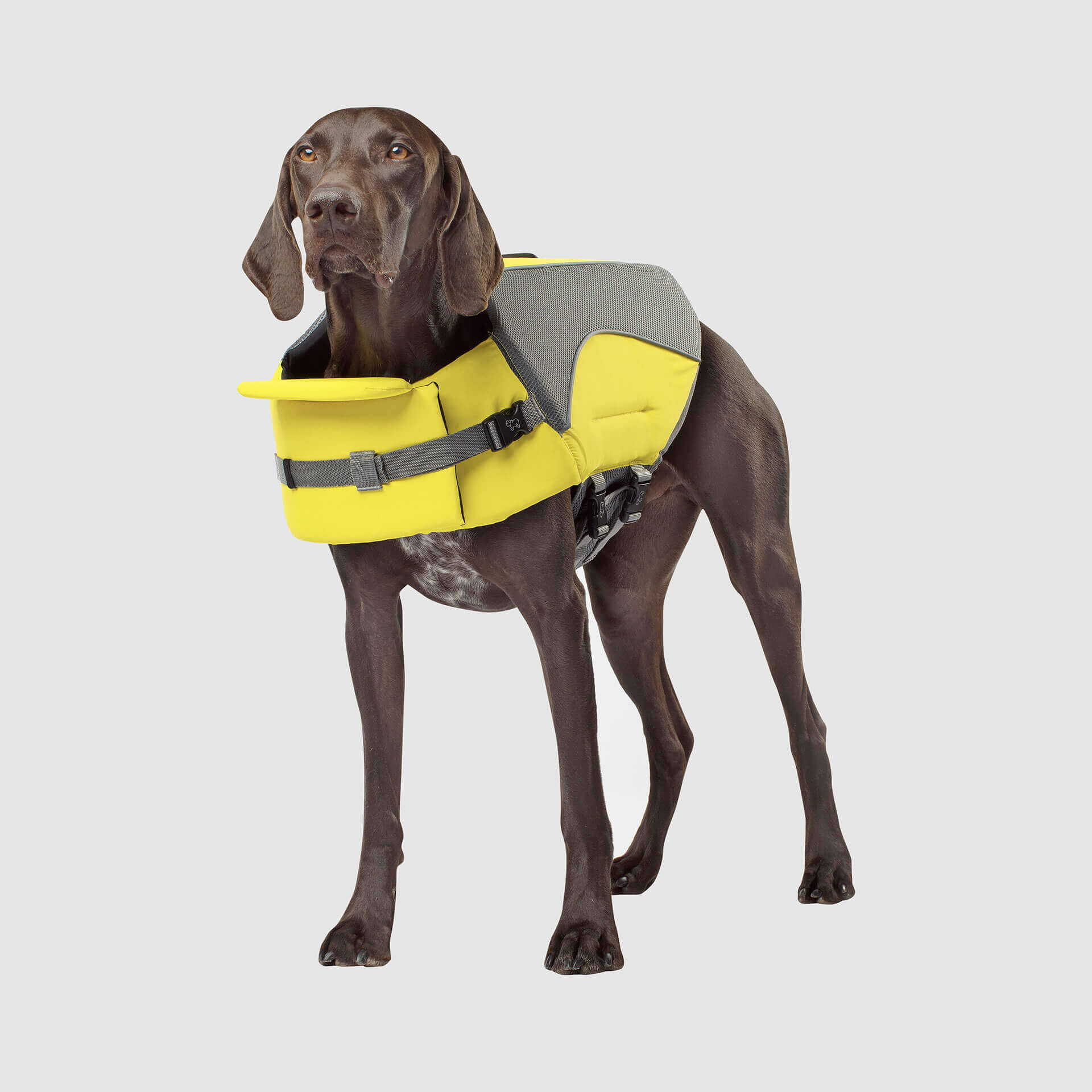 Wave Rider Life Jacket - Image 3