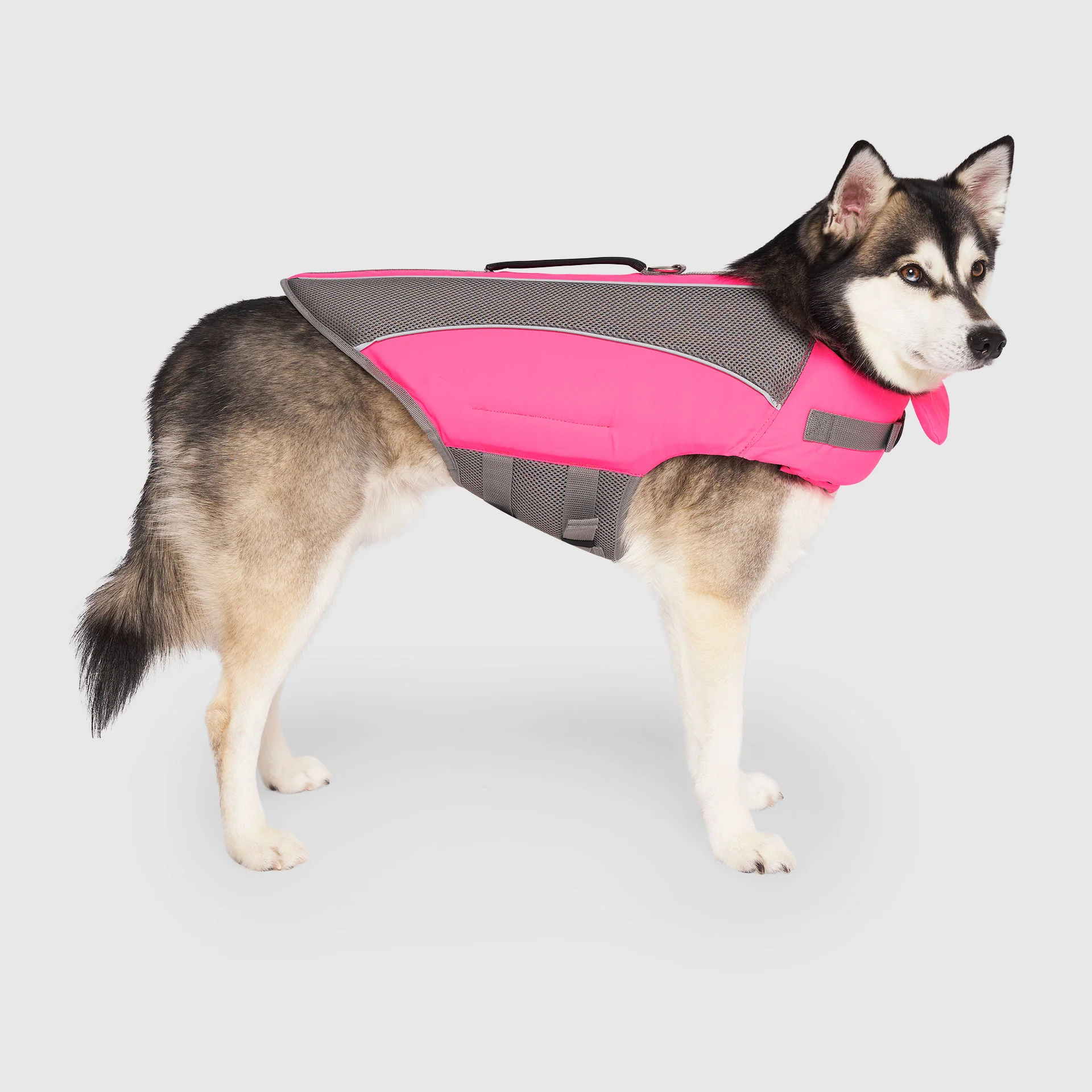 Wave Rider Life Jacket - Image 8