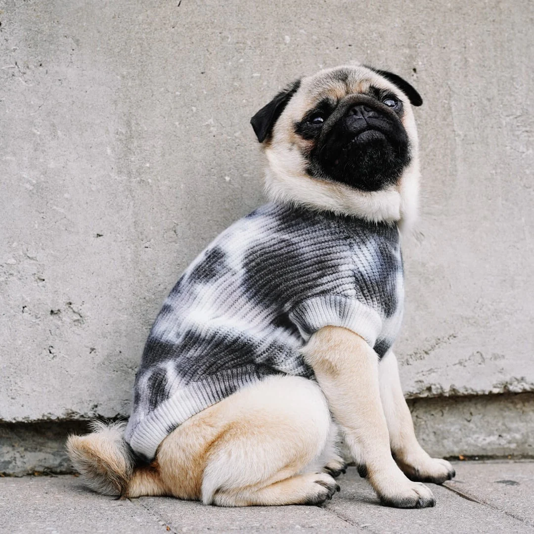 Wild Side Sweater - Image 10