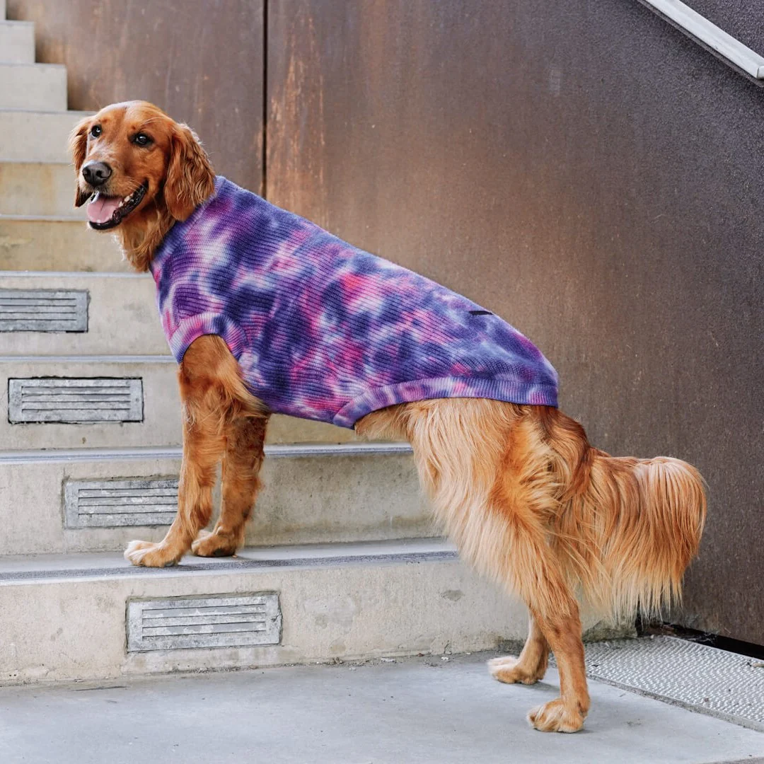 Wild Side Sweater - Image 5