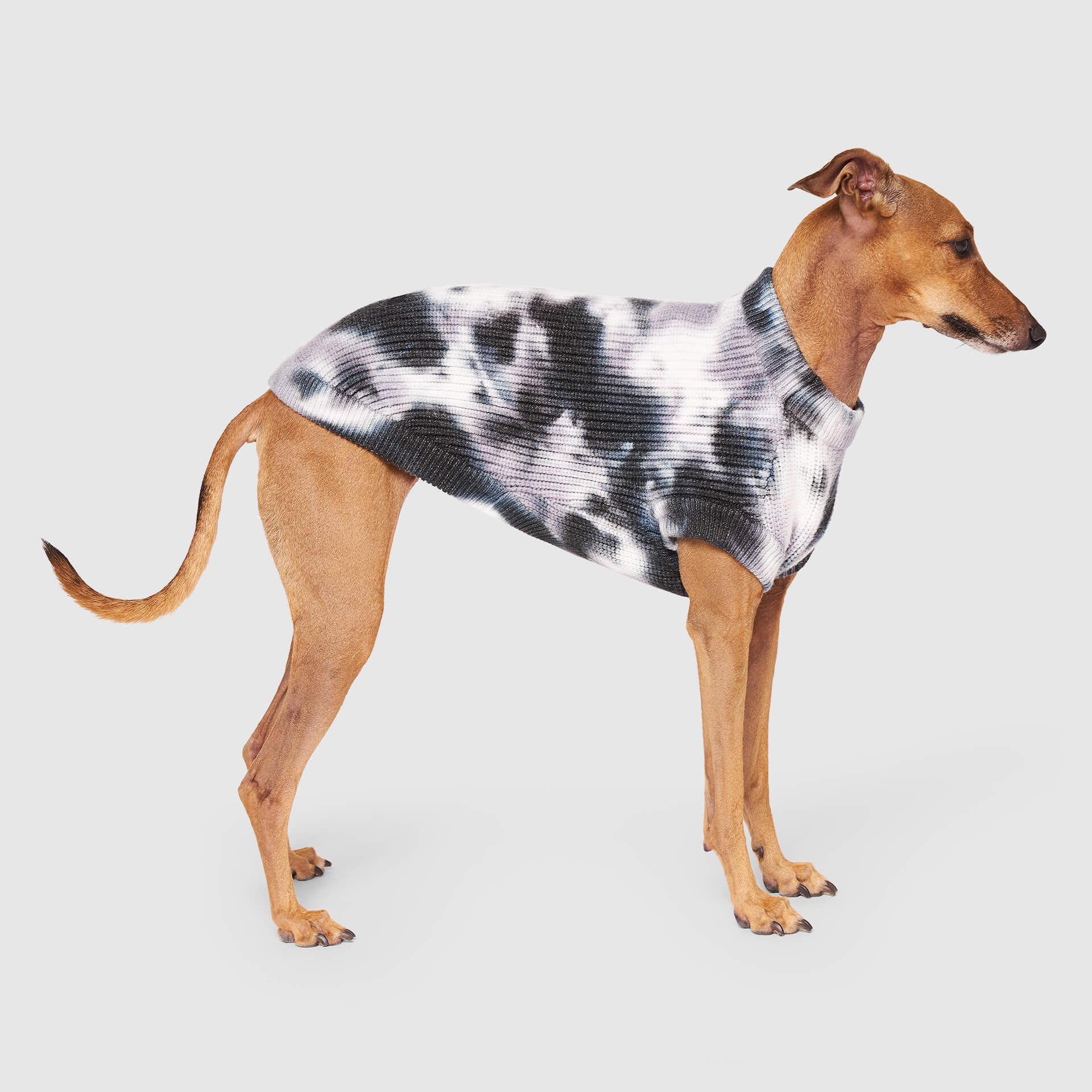 Wild Side Sweater - Image 7