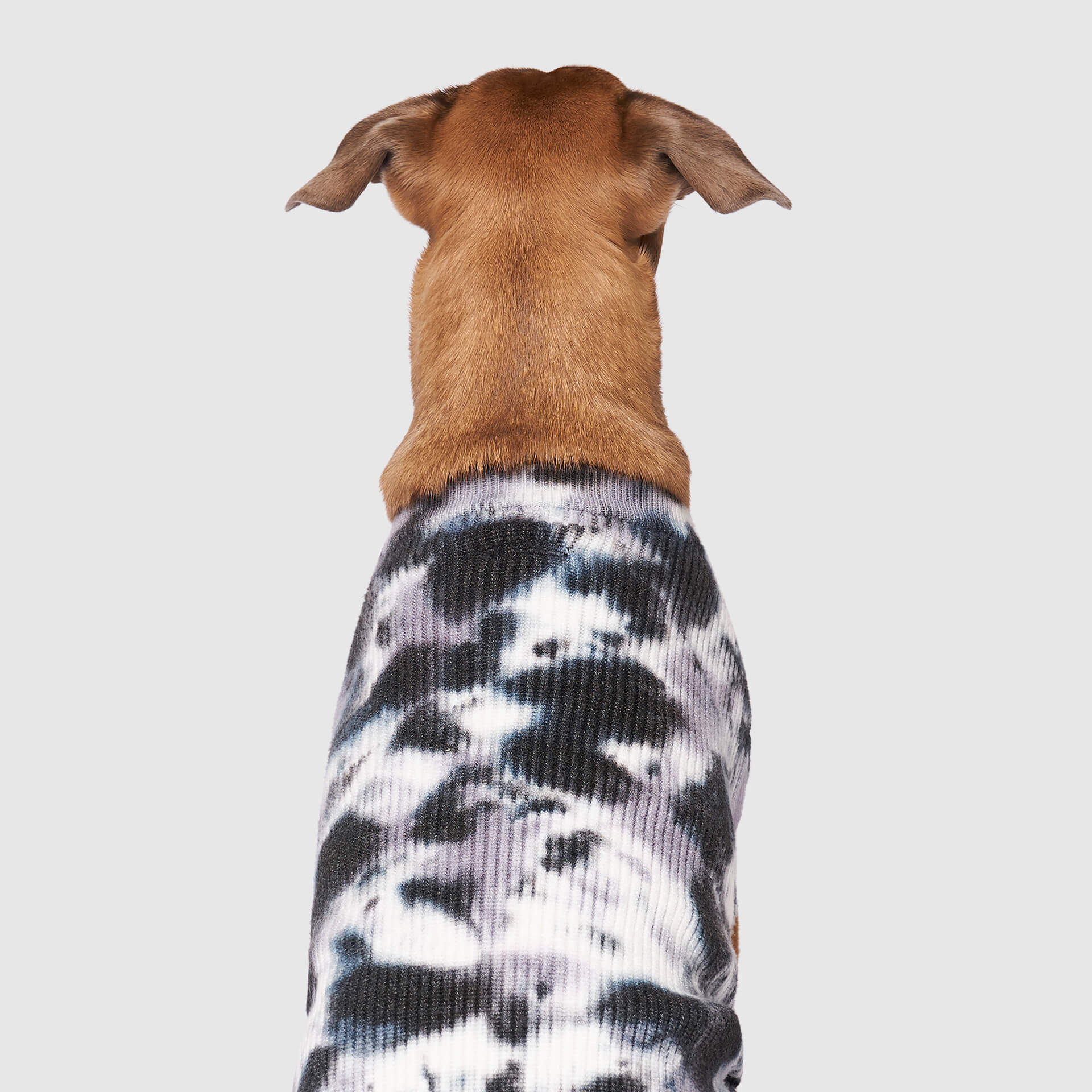 Wild Side Sweater - Image 8