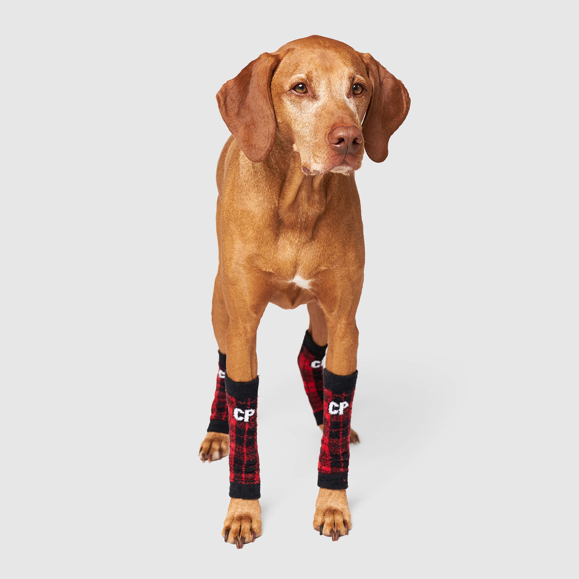 Work It Warmers - Image 9